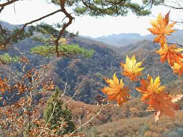 阳光人寿保险股份有限公司-阳光人寿保险股份有限公司是国企吗